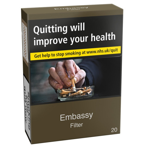 EMBASSY FILTER 1x10x20s