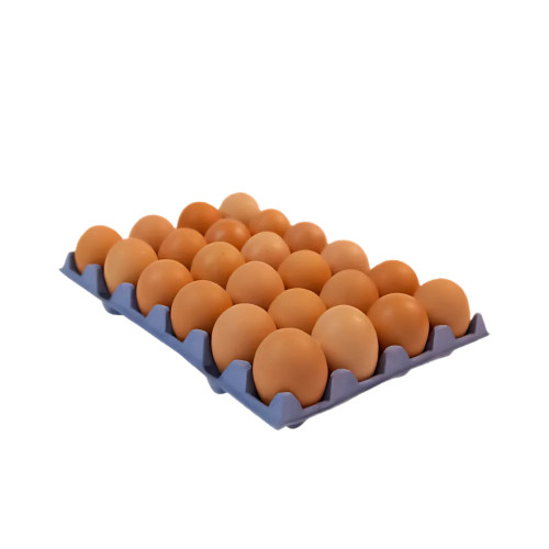 DAILY LARGE EGGS 1x24S