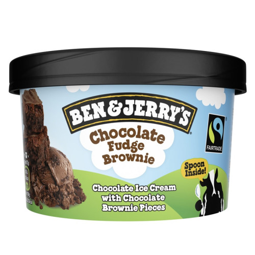 BEN & JERRYS FUDGE CHOCOLATE BROWNIE ICE CREAM 1x100ML