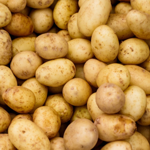 TOTAL PRODUCE WHITE POTATOES 10x2KG