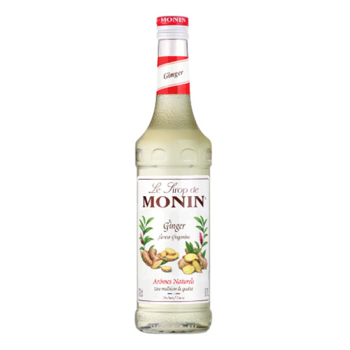 MONIN SYRUP GINGER BOTTLE 6x70CL