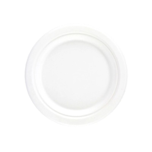 ECO PLATE 10" 1x50s