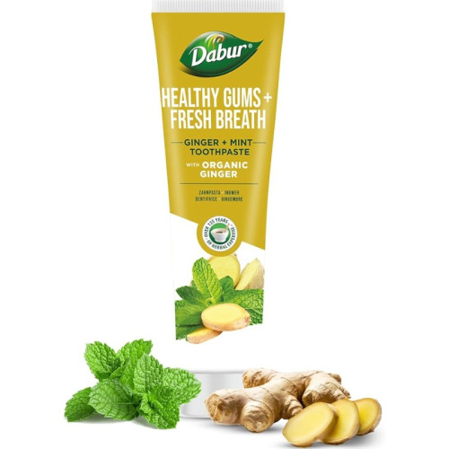 DABUR GINGER MINT TOOTHPASTE 1x6x100ML